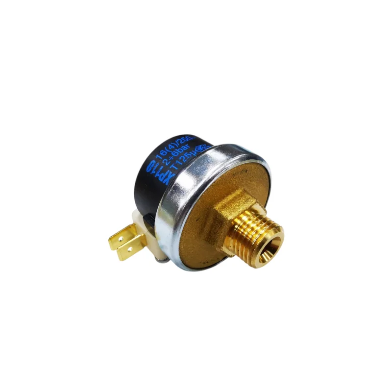 Czujnik regulator ciśnienia do 6 bar 1/4" GZ do wytwornic i stołów do 7L - zdjęcie 1